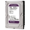 Disco Duro Western Digital Purple WD10PURZ - 3.5" Interno - 1 TB - SATA (SATA/600) - Grabación magn&eacute;tica convencional (CMR) Method